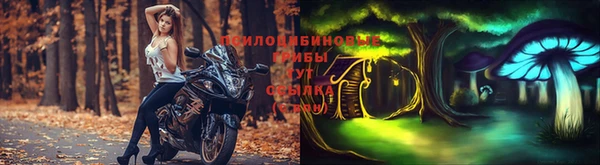крисы Аркадак