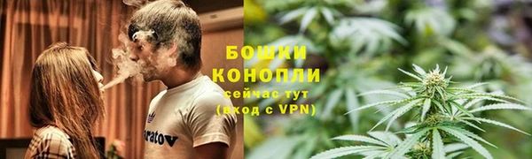 крисы Аркадак