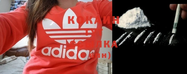 крисы Аркадак