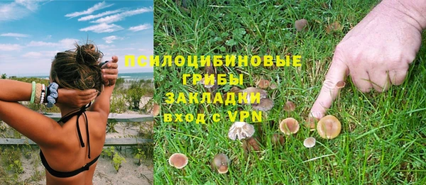 гидропоника Армянск