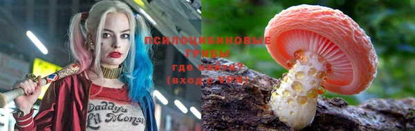 каннабис Арсеньев